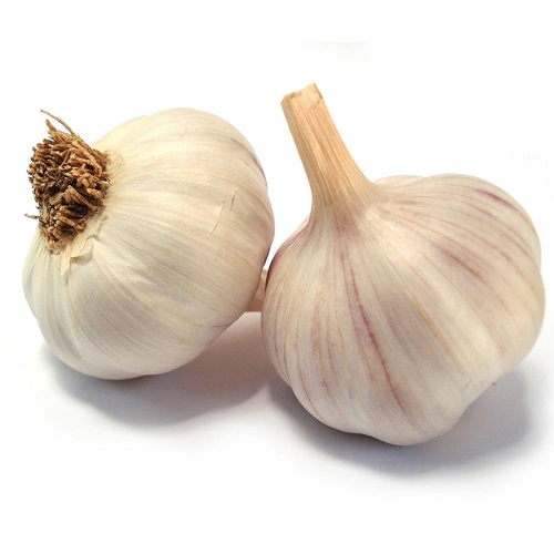 سیر خشک