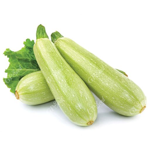 کدو خورشتی