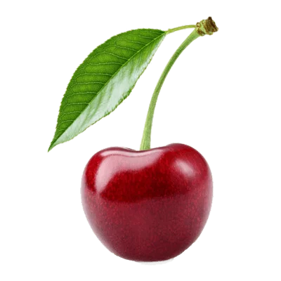گیلاس