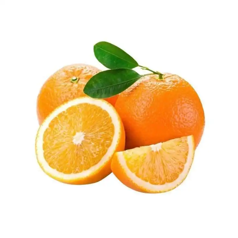 پرتقال شمال