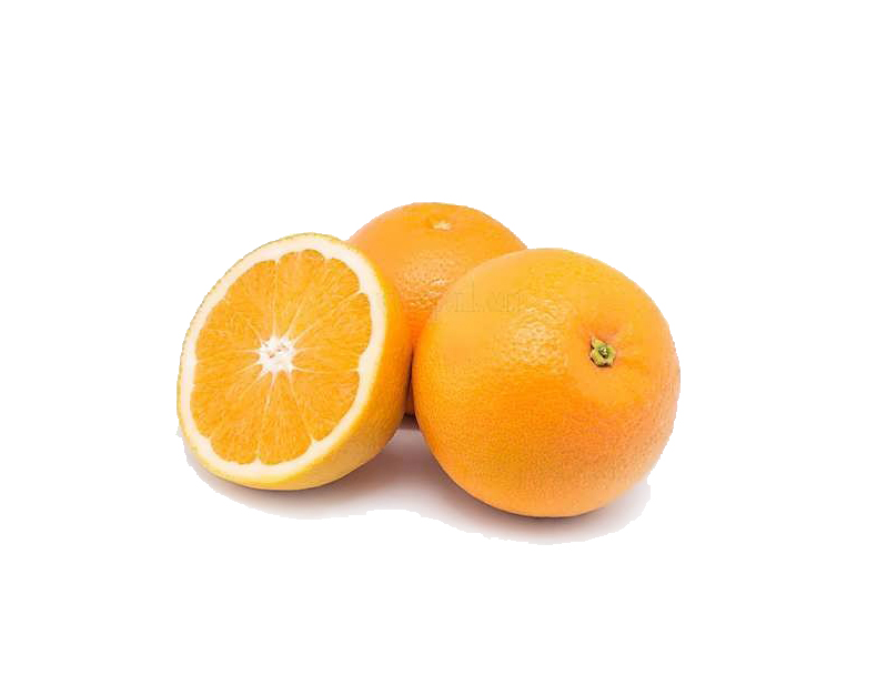 پرتقال جنوب